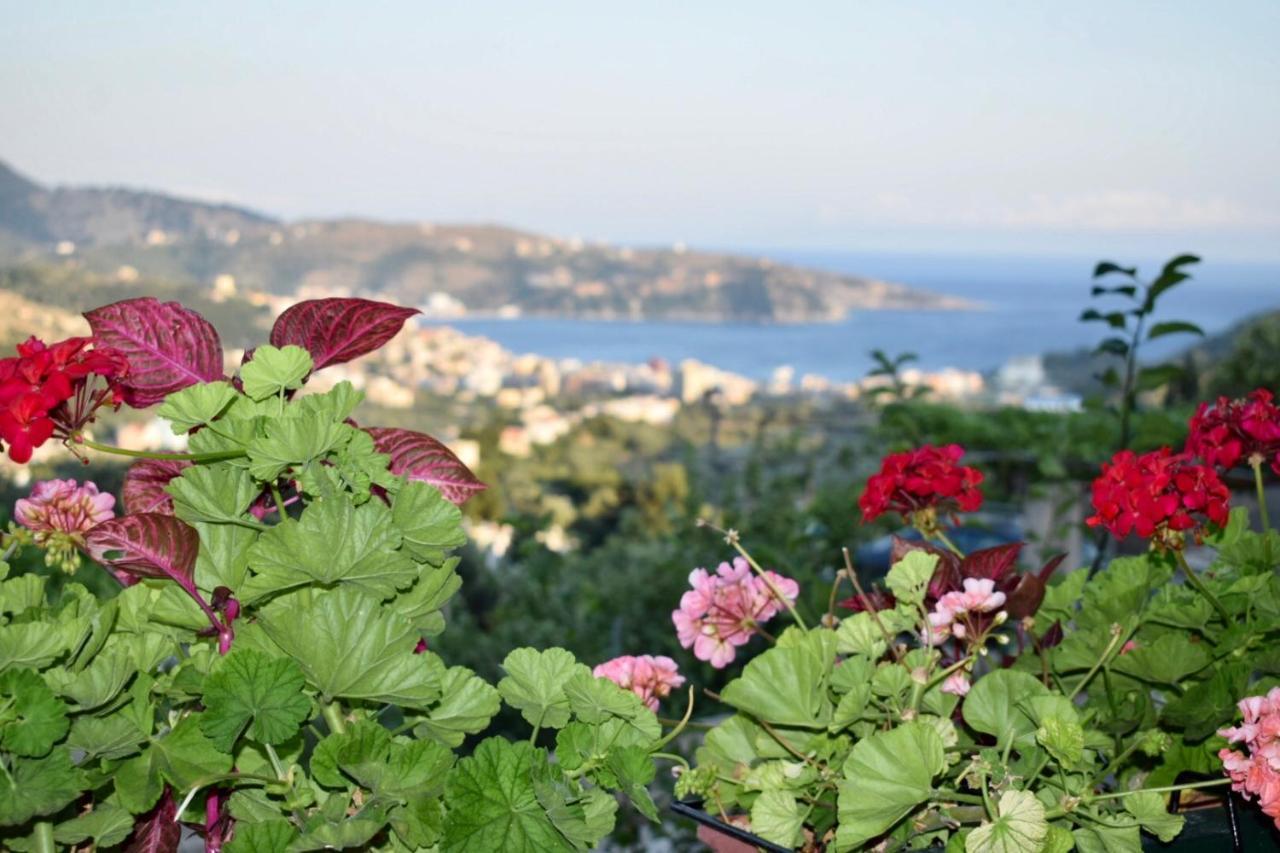 Tzavelitiko Home Χειμάρρα Εξωτερικό φωτογραφία