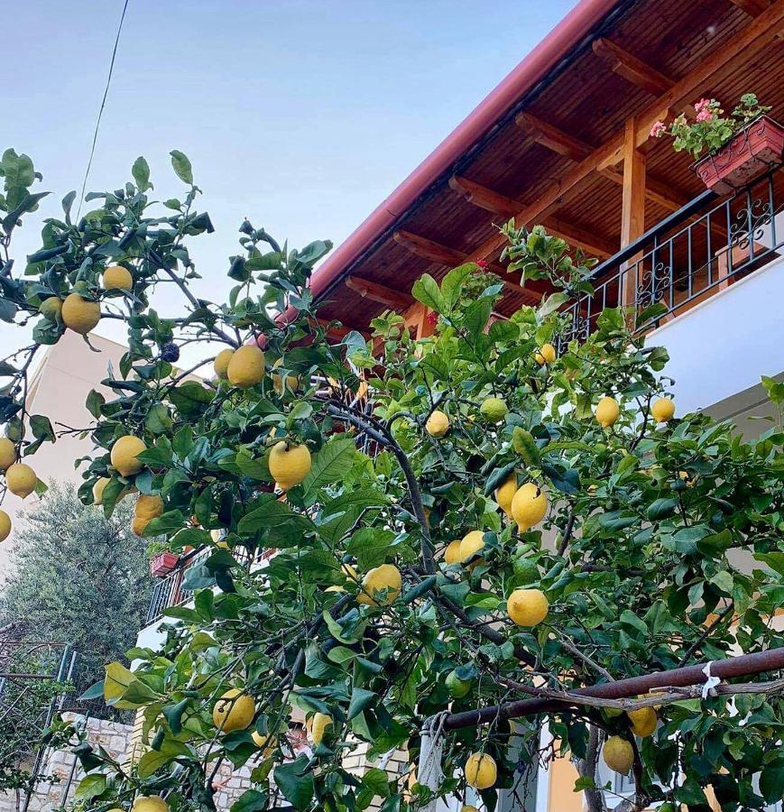 Tzavelitiko Home Χειμάρρα Εξωτερικό φωτογραφία