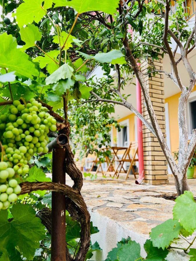 Tzavelitiko Home Χειμάρρα Εξωτερικό φωτογραφία