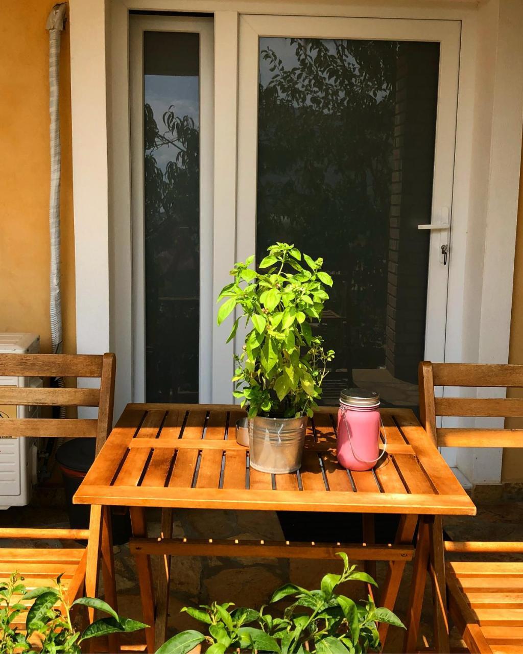 Tzavelitiko Home Χειμάρρα Εξωτερικό φωτογραφία