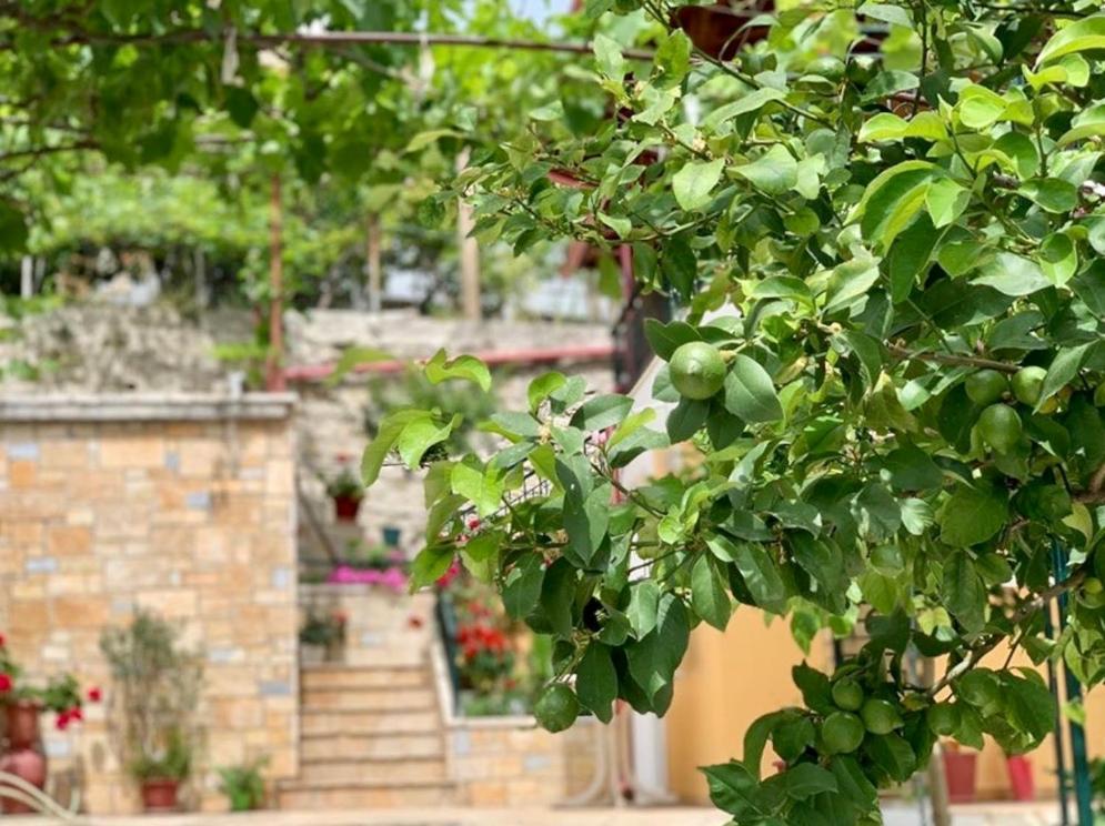 Tzavelitiko Home Χειμάρρα Εξωτερικό φωτογραφία